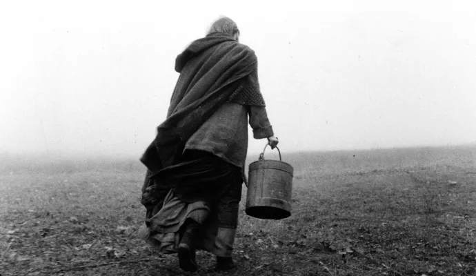 Fotó: 7e Art / TT Filmműhely / Photo12 / AFP