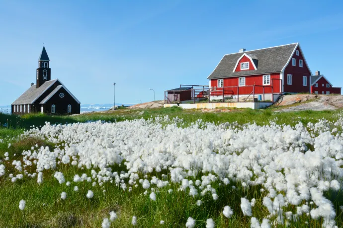 A Fehér Ház Grönlandról: Az amerikai hadsereg bevetése mindig opció