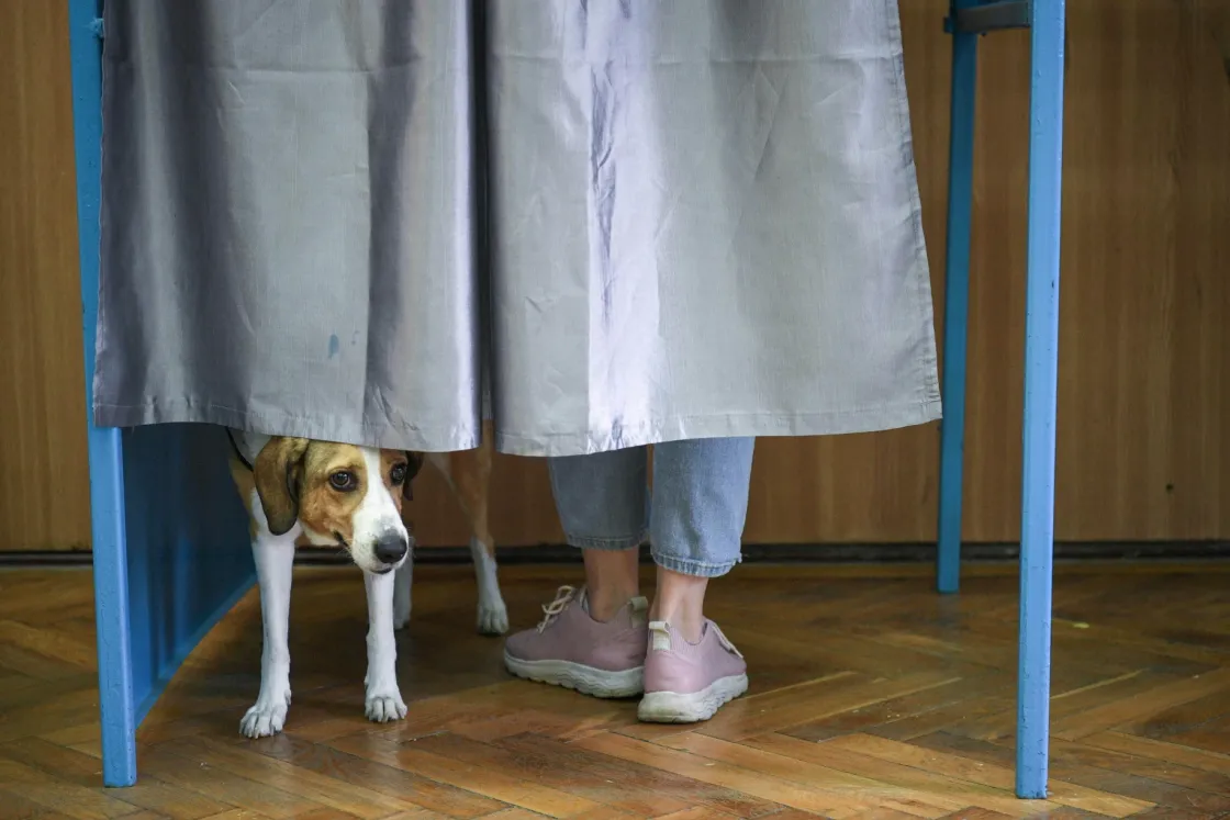 Hadd meséljenek a sajtófotók arról, milyen volt Románia 2025-ös éve