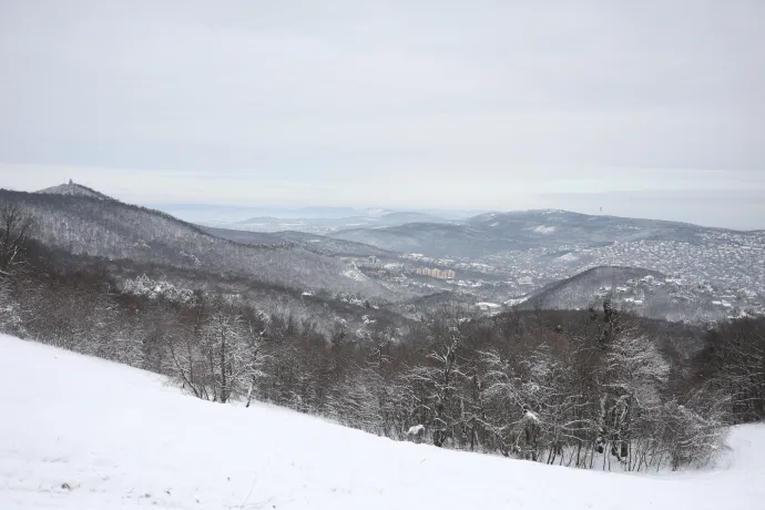 Fotó: Bődey János / Telex