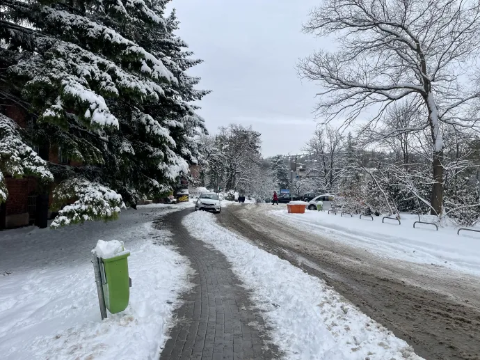 Fotó: Bánáti Anna / Telex