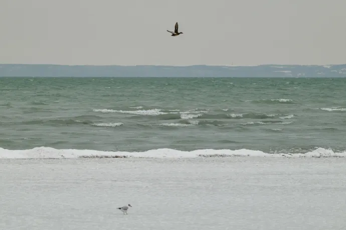 Fotó: Vasvári Tamás / MTI