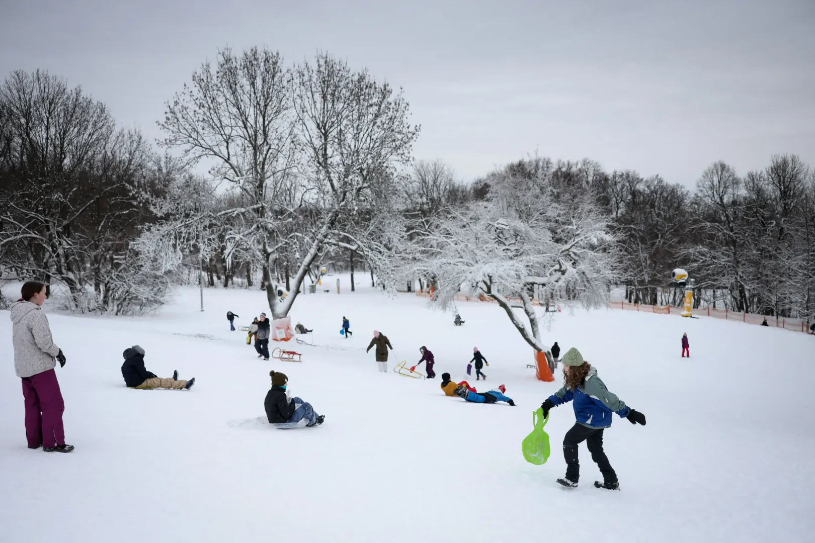 Normafa – Fotó: Bődey János / Telex
