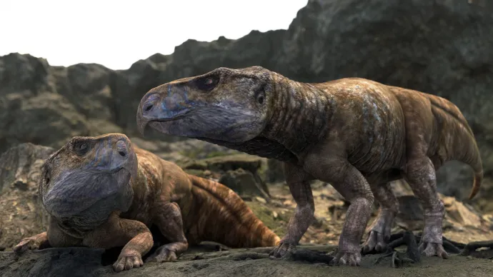 Az Ajkaceratops kozmai lehetséges megjelenésének rekonstrukciója – Illusztráció: Matthew Dempsey