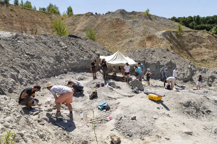 Az iharkúti dinoszaurusz-lelőhely Németbánya közelében 2022. július 19-én – Fotó: Krizsán Csaba / MTI