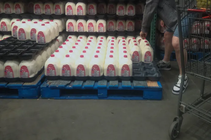 A nullás tejek vége: Amerika több fehérje és a teljes zsírtartalmú tejtermékek fogyasztására buzdít