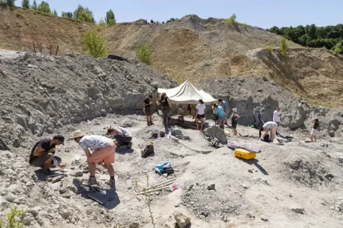 The Iharkút dinosaur discovery site near Németbánya on July 19, 2022 – Photo: Csaba Krizsán / MTI
