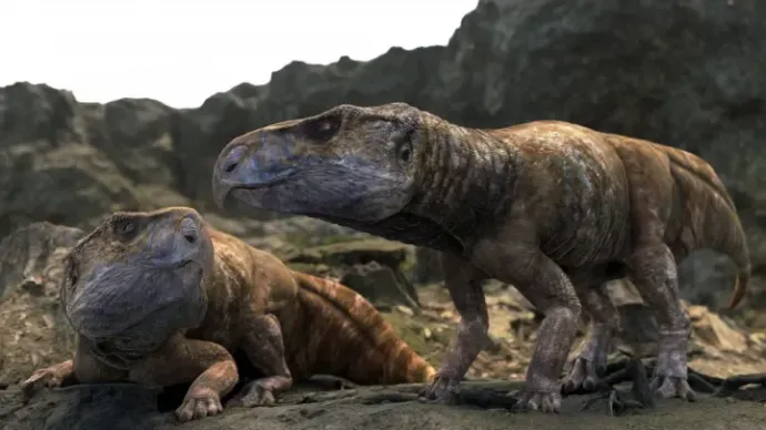 A reconstruction of what Ajkaceratops may have looked like – Illustration: Matthew Dempsey