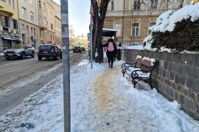 Ha már nincs eltakarítva időben, a sónál még a faforgács is jobb síkosságmentesítő – Fotó: Thüringer Barbara / Telex