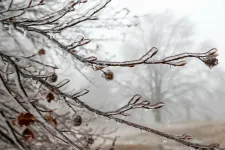 Kemény fagyokkal indul a jövő hét, kedden mínusz 18 fok is lehet