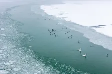 Öltözzön fel jól, hétfőn napközben -8 fok is lehet