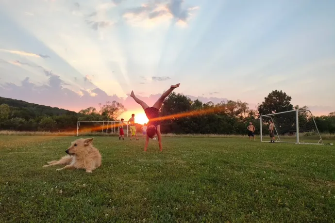A Social Fiber segít megtalálni a járható utat a hátrányos helyzetű gyerekeknek is