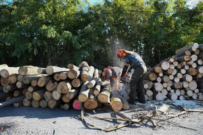 Orbán bejelentette, hogy folytatják a szociális tűzifaprogramot