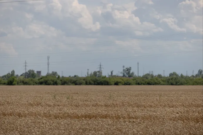 Több mint 10 milliárddal, főleg termelőknek tartozik a Bászna Gabona a MOSZ szerint