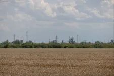 Több mint 10 milliárddal, főleg termelőknek tartozik a Bászna Gabona a MOSZ szerint