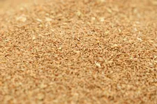 Öt banknak is tartozik a megroggyant agrárcég, aminél sikkasztás miatt nyomoz a rendőrség