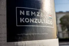 Nemzeti konzultáció? Véleménynyilvánító szavazás? Nemzeti petíció!