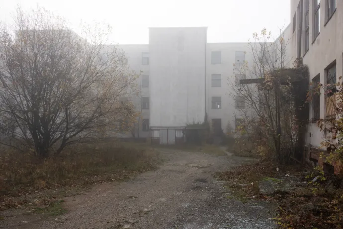 Fotó: Hevesi-Szabó Lujza / Telex