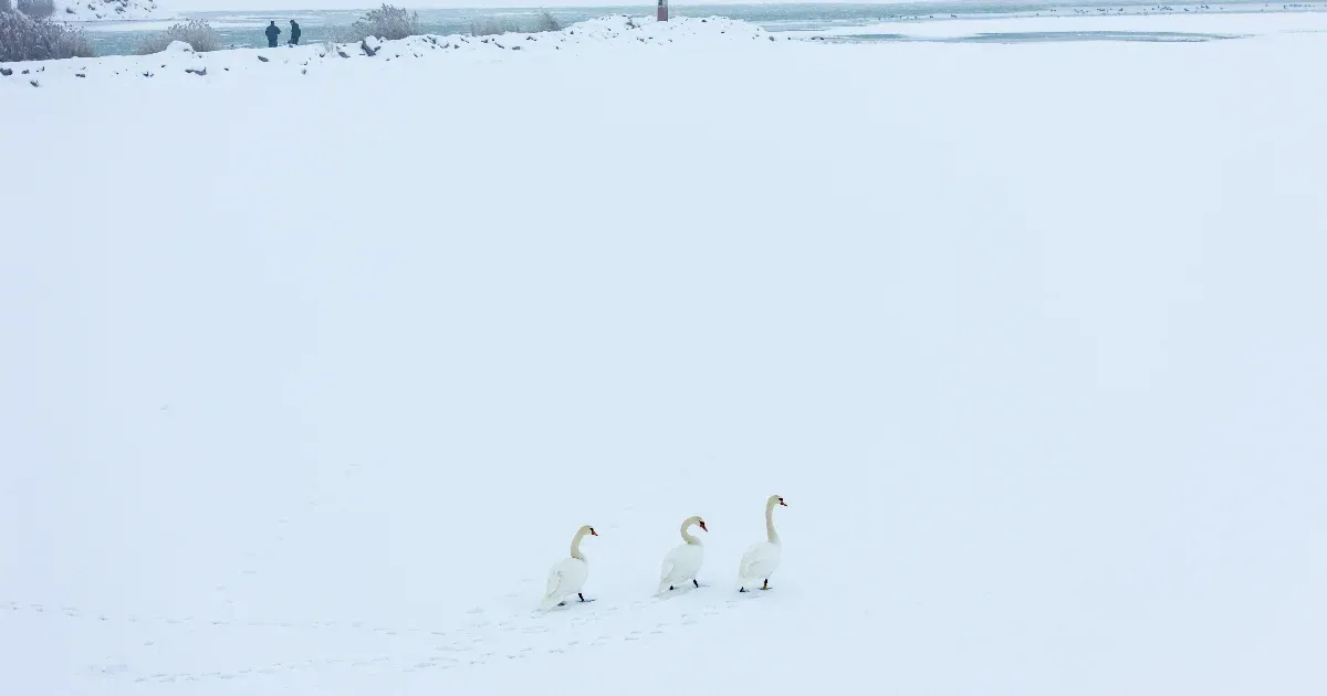 Ha azt hitte, hogy már eljött az enyhülés, akkor csak annyit mondunk: szibériai hideg