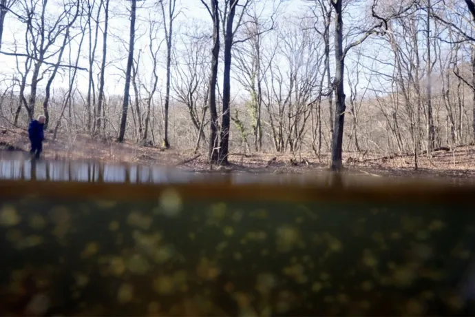 Házasságtörés és brutális leszámolások a tavacskákban