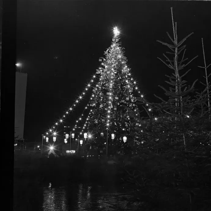 Karácsonyfa a Széchenyi (Mihai Viteazul) téren, Kolozsváron az 1970-es években – Fotó: Minerva Fotóarchívum