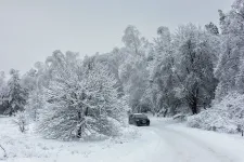 Jön a szibériai hideg: dermesztő fagyokra kell felkészülni, a -20 fok sem kizárt