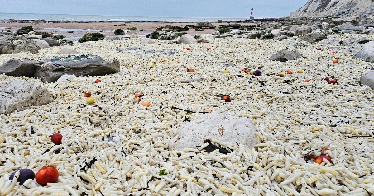Több ezer zsák mirelit krumpli sodródott partra Anglia déli részén