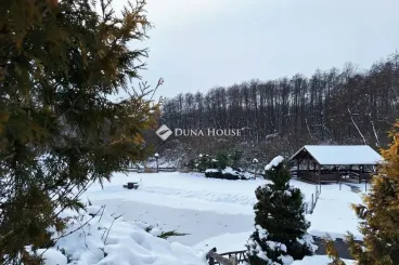 Homokos strand és erdőszéli csend vár a Gödöllői-dombság lankái között