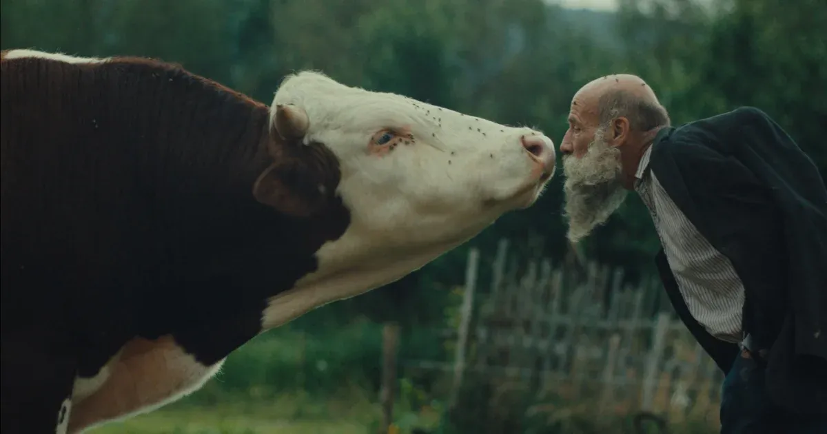 Életszeretet, halálfélelem és trágyaléből rajzolt békejel