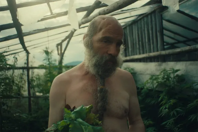 Életszeretet, halálfélelem és trágyaléből rajzolt békejel