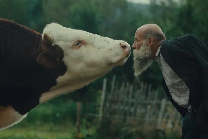 Fotó: Arsy-Versy / Nutprodukce