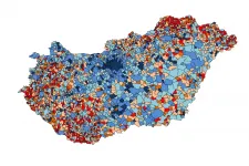 Olyan jól teljesítettek a tőkések Felcsúton, hogy az egész megyét a mezőny élére repítették