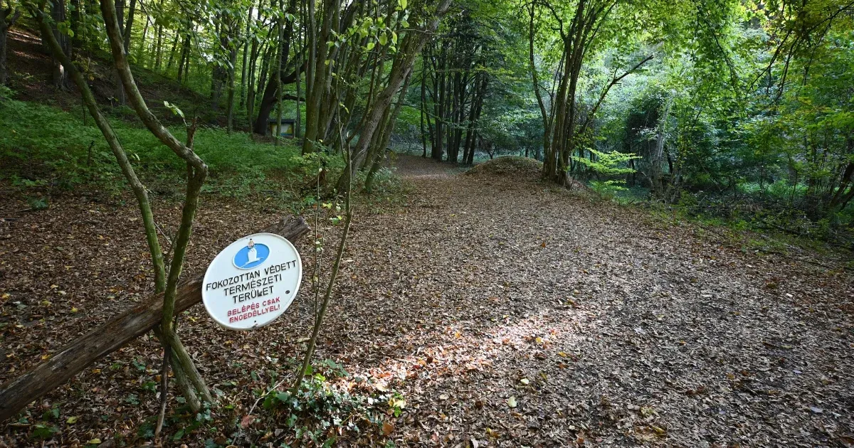Az adatvédelmi hatósághoz fordultunk a fokozottan védett természeti területek határainak nyilvánossá…