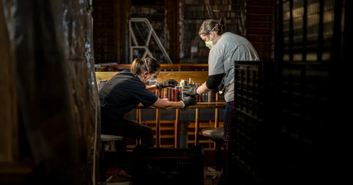 Megmentették a Pannonhalmi Főapátság könyvtárát a rovarinváziótól