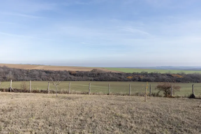 A hátsó kert és a kilátás – Fotó: Bődey János / Telex