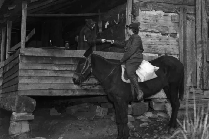 A gazdasági világválság után évekig lóháton közlekedő könyvtárosok vitték házhoz az olvasnivalót Kentuckyban