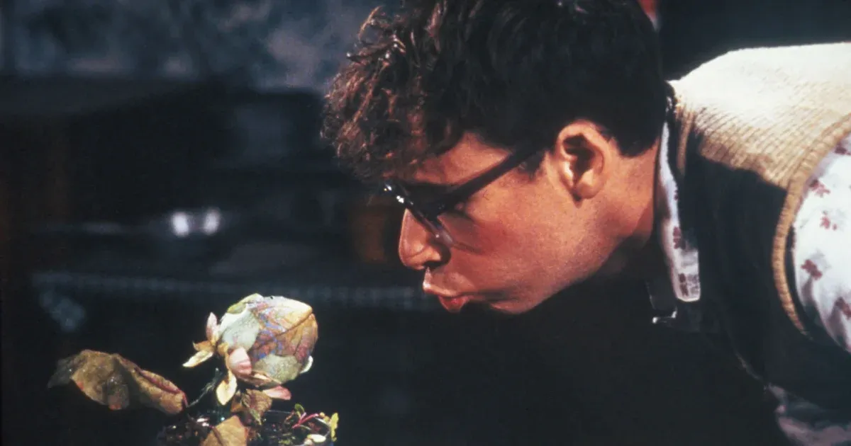 Telex Diszpó január 23-tól január 30-ig