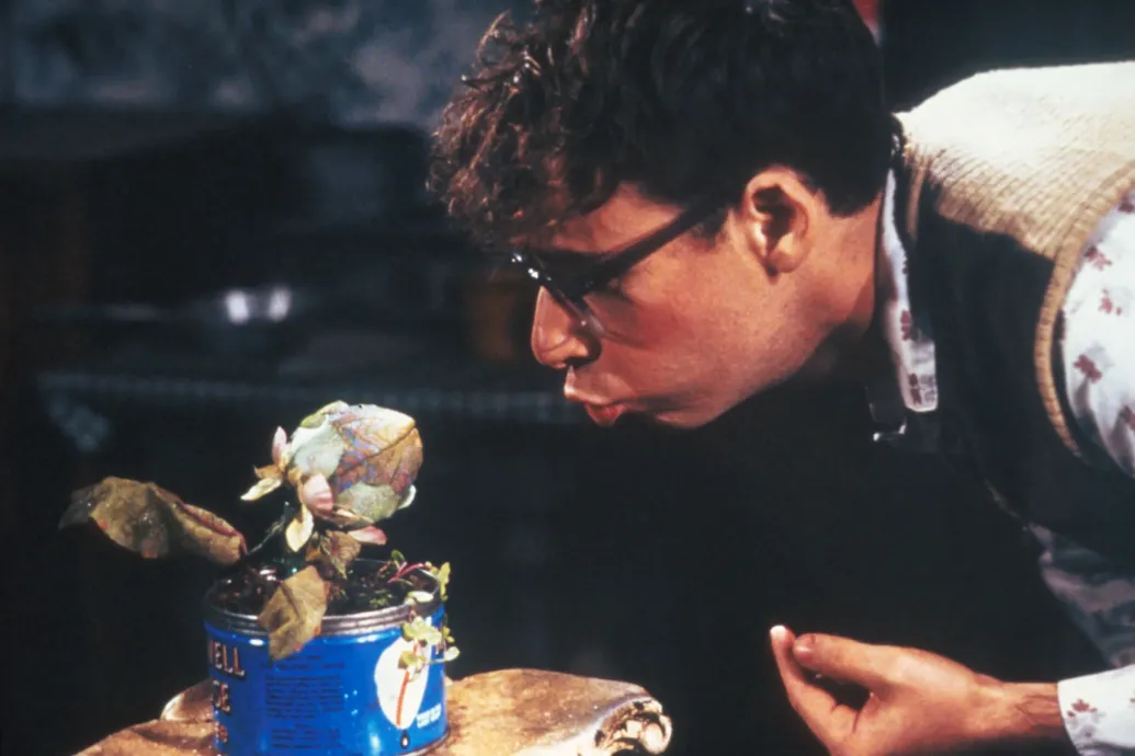 Telex Diszpó január 23-tól január 30-ig