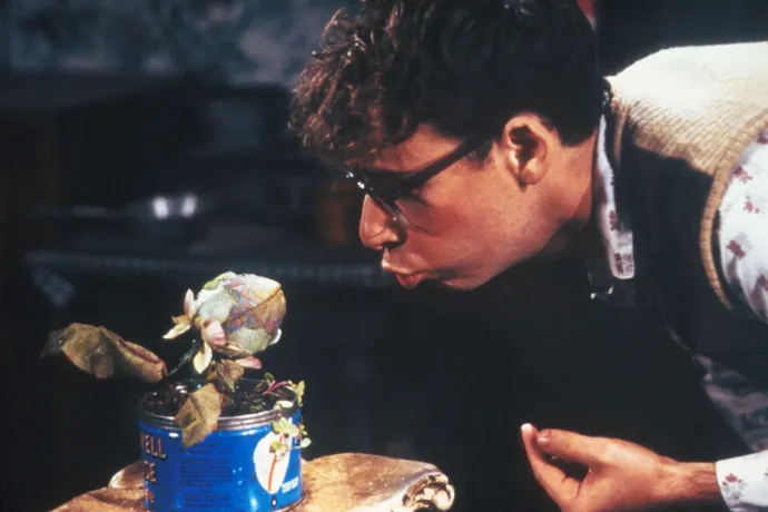 Telex Diszpó január 23-tól január 30-ig