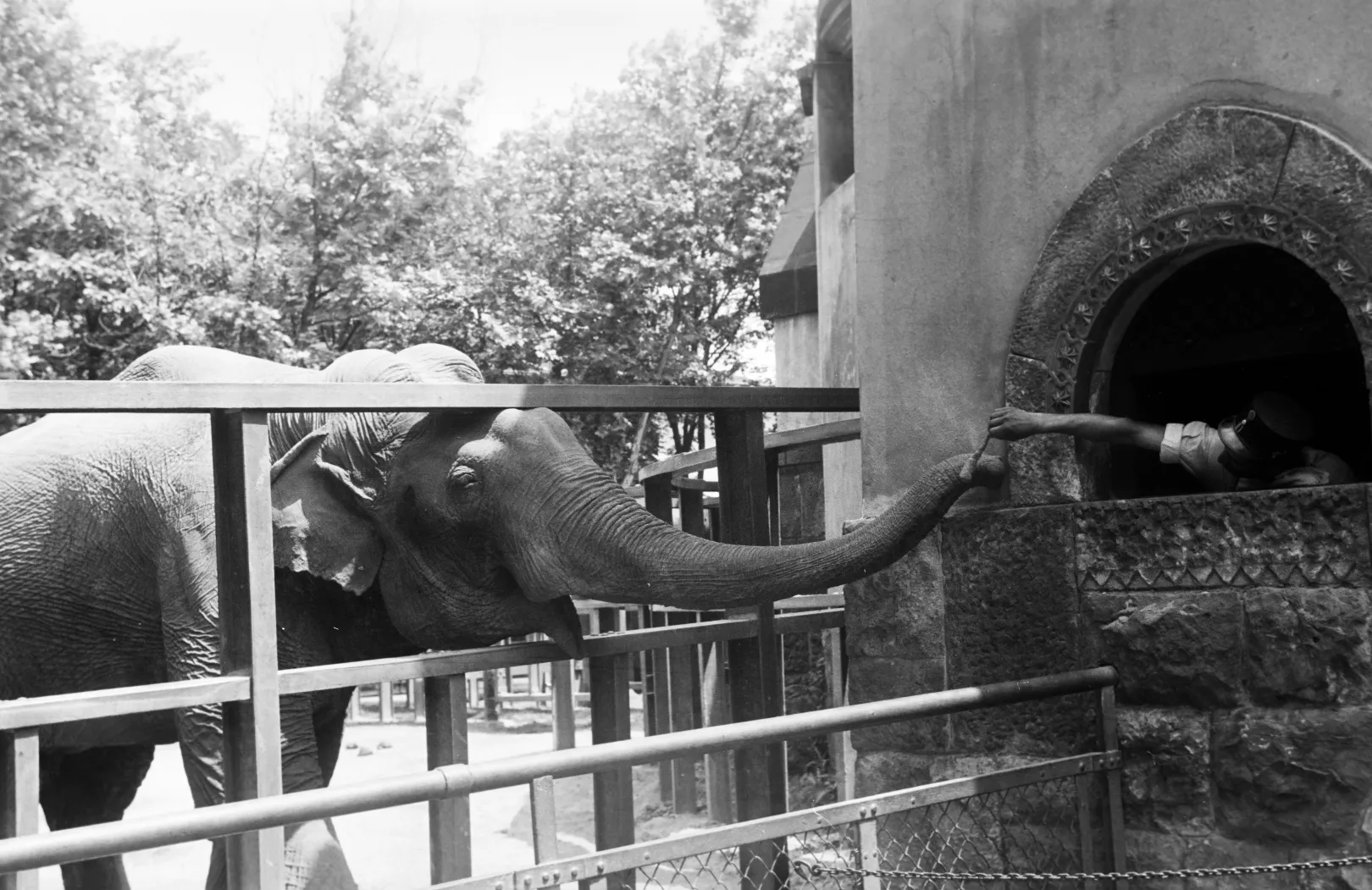 Fotó: Inkey Tibor / Fortepan