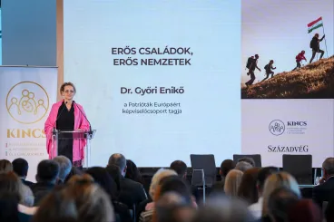 A Fidesz egyik EP-képviselője pár éve erősen küzdött a Mercosur-megállapodásért, most óriási fenyegetésnek tartja