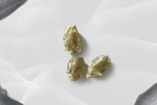 Berta Ádám: Akiket nem