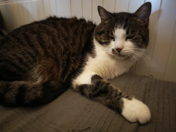 Fotó: Flachner Balázs / Telex