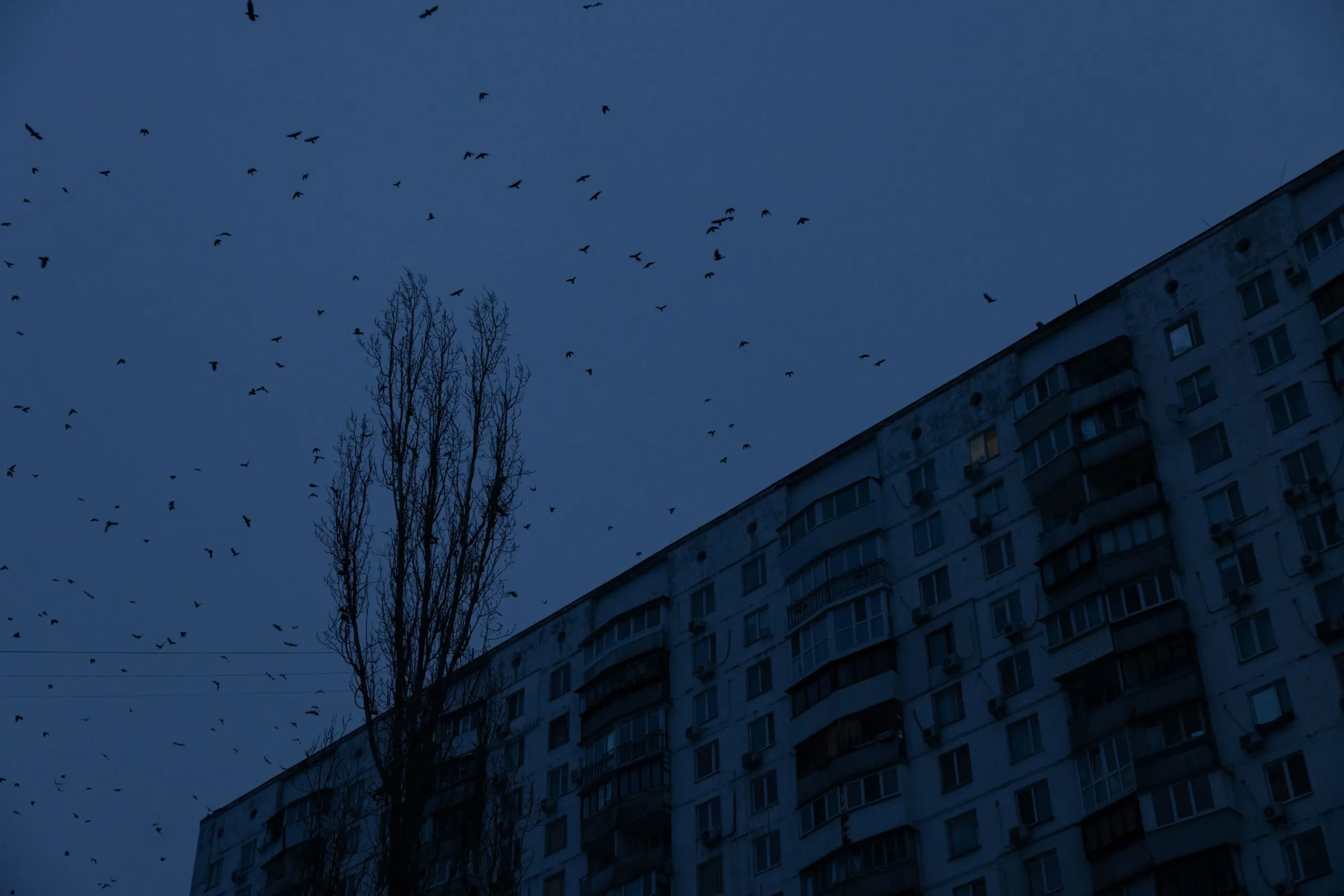 Fotó: Ajpek Orsi / Telex