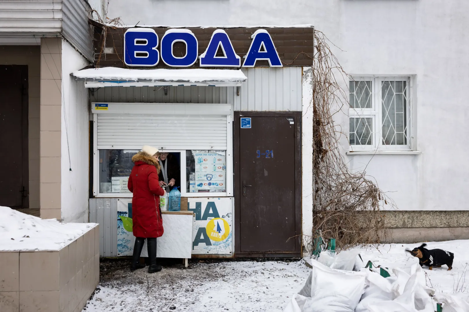 Fotó: Ajpek Orsi / Telex