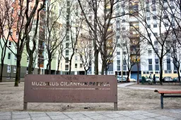 Az MKKP aktivistái WC-keféket raktak a Muzsikus Cigányok parkja oszlopaira, Pikó szerint felelőtlenség volt