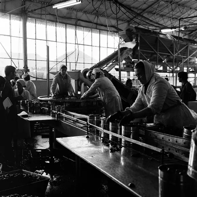 Gyári munkások – Fotó: Minerva Fotóarchívum