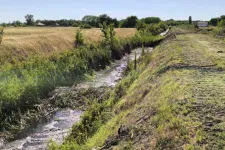 Védett állatok pusztultak el nyáron a Gerje-patak kotrásában, a rendőrség valamiért a munkagép vezetőjét kezdte el vizsgálni