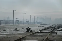 Auschwitz, 1945 januárja: Apám története