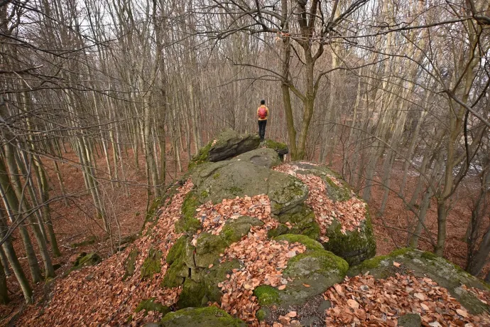 A Kis-Szilvás-kő teteje és sziklahasadéka – Fotó: Tenczer Gábor / Telex